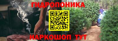 СК Будённовск