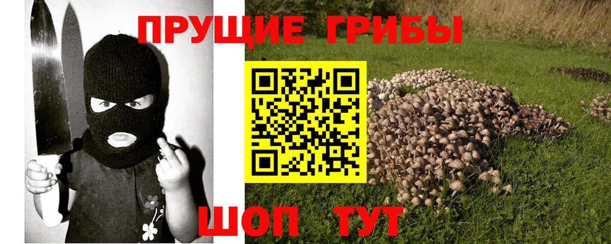 Королёв  Псилоцибиновые грибы Magic Shrooms  Псилоцибиновые грибы Psilocybine cubensis  Вход с VPN 