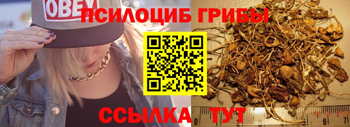 Псилоцибиновые грибы мухоморы Королёв